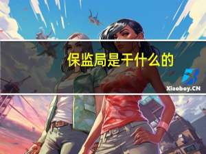 保监局是干什么的