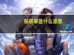 保研率是什么意思
