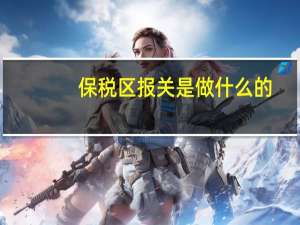 保税区报关是做什么的（保税区报关）