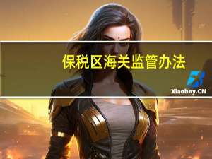 保税区海关监管办法
