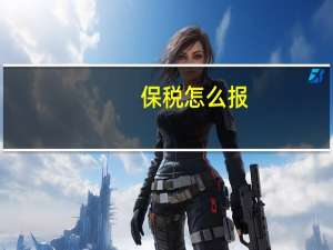 保税怎么报