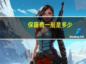 保籍费一般是多少