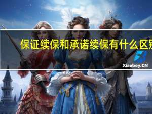 保证续保和承诺续保有什么区别