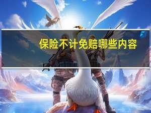 保险不计免赔哪些内容