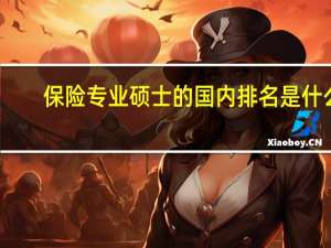 保险专业硕士的国内排名是什么