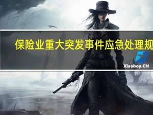 保险业重大突发事件应急处理规定