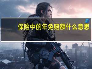 保险中的年免赔额什么意思