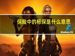 保险中的标保是什么意思