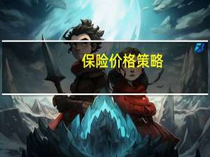 保险价格策略