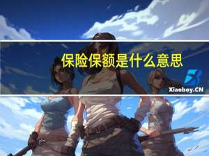 保险保额是什么意思