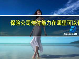 保险公司偿付能力在哪里可以看
