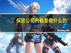 保险公司内勤是做什么的
