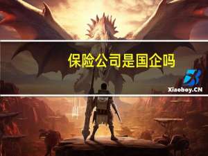 保险公司是国企吗