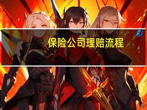保险公司理赔流程