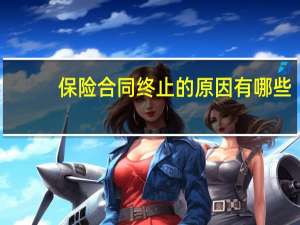 保险合同终止的原因有哪些