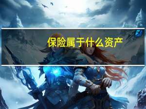 保险属于什么资产
