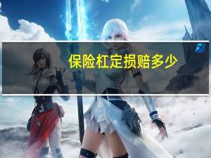 保险杠定损赔多少