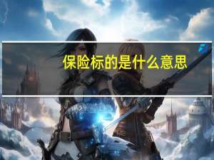 保险标的是什么意思