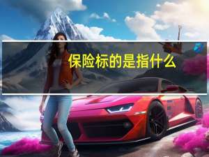 保险标的是指什么