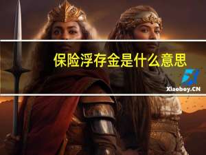 保险浮存金是什么意思