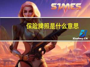保险牌照是什么意思