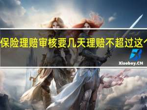 保险理赔审核要几天 理赔不超过这个时间