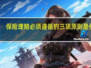 保险理赔必须遵循的三项原则是什么