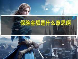 保险金额是什么意思啊
