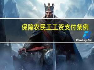 保障农民工工资支付条例（支付宝卡通是什么）