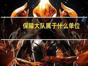 保障大队属于什么单位