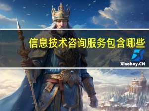 信息技术咨询服务包含哪些