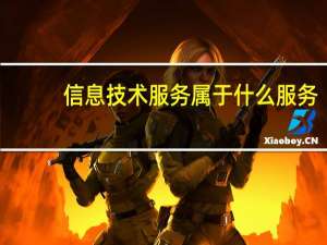 信息技术服务属于什么服务