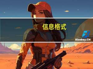 信息格式