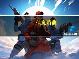 信息消费（信息消费）
