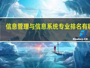 信息管理与信息系统专业排名有哪些