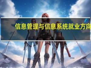 信息管理与信息系统就业方向