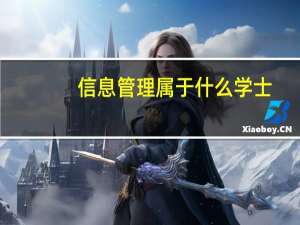 信息管理属于什么学士