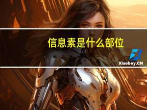信息素是什么部位