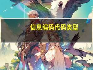 信息编码代码类型