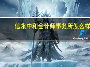 信永中和会计师事务所怎么样