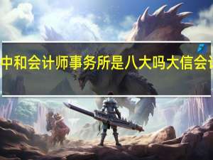 信永中和会计师事务所是八大吗 大信会计师事务所