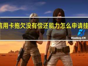 信用卡拖欠没有偿还能力怎么申请挂账停息
