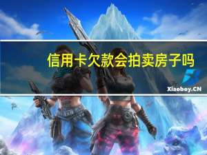 信用卡欠款会拍卖房子吗