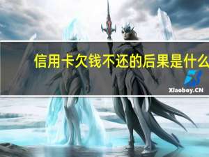 信用卡欠钱不还的后果是什么