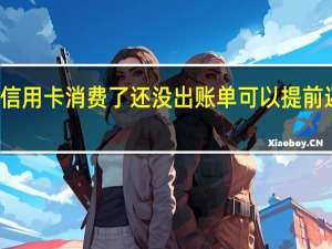 信用卡消费了还没出账单可以提前还款吗