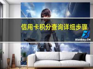 信用卡积分查询详细步骤（信用卡积分查询）