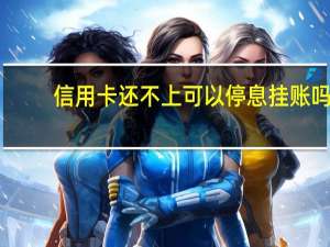 信用卡还不上可以停息挂账吗