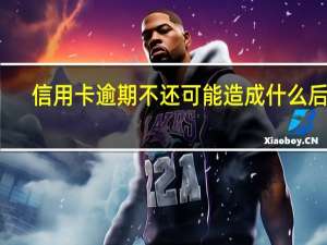 信用卡逾期不还可能造成什么后果