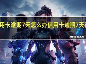 信用卡逾期7天怎么办信用卡逾期7天补救方法