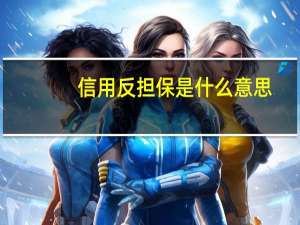信用反担保是什么意思